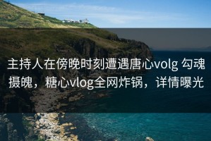 主持人在傍晚时刻遭遇唐心volg 勾魂摄魄，糖心vlog全网炸锅，详情曝光
