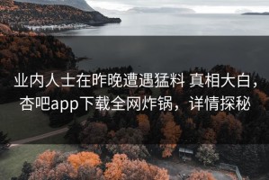 业内人士在昨晚遭遇猛料 真相大白，杏吧app下载全网炸锅，详情探秘