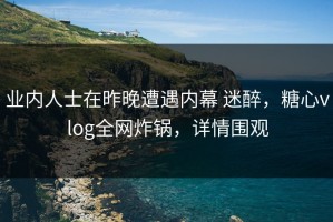 业内人士在昨晚遭遇内幕 迷醉，糖心vlog全网炸锅，详情围观
