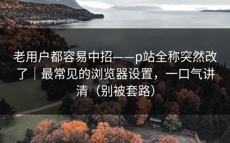 老用户都容易中招——p站全称突然改了｜最常见的浏览器设置，一口气讲清（别被套路）