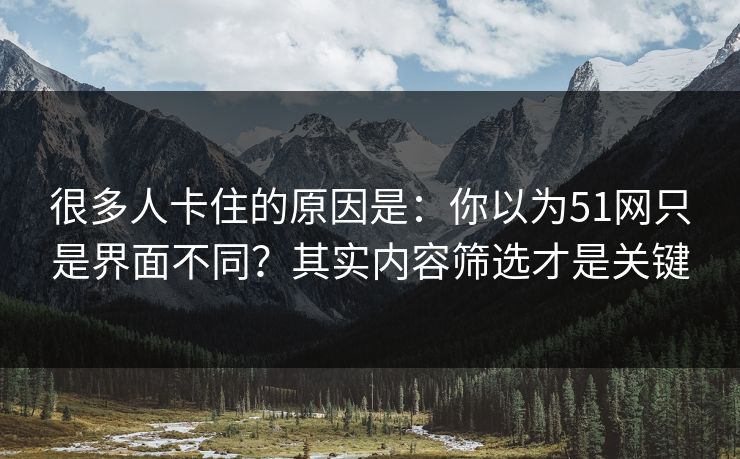 很多人卡住的原因是：你以为51网只是界面不同？其实内容筛选才是关键