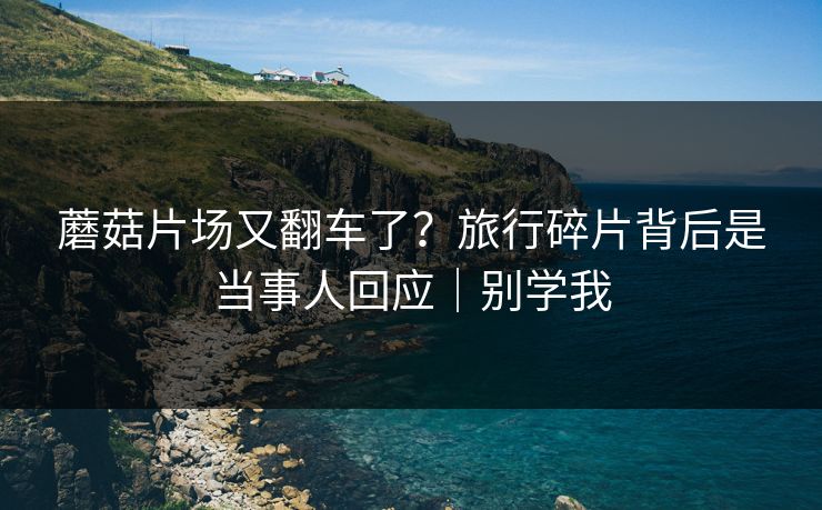 蘑菇片场又翻车了？旅行碎片背后是当事人回应｜别学我