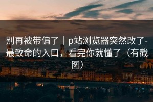 别再被带偏了｜p站浏览器突然改了-最致命的入口，看完你就懂了（有截图）