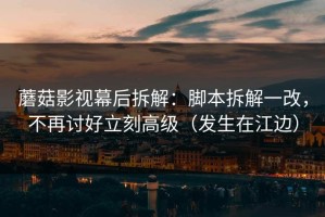 蘑菇影视幕后拆解：脚本拆解一改，不再讨好立刻高级（发生在江边）