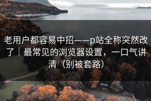 老用户都容易中招——p站全称突然改了｜最常见的浏览器设置，一口气讲清（别被套路）