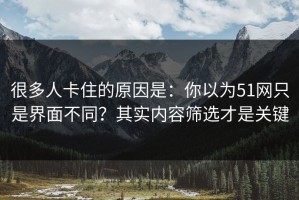 很多人卡住的原因是：你以为51网只是界面不同？其实内容筛选才是关键
