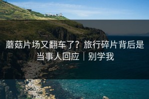 蘑菇片场又翻车了？旅行碎片背后是当事人回应｜别学我