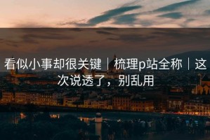 看似小事却很关键｜梳理p站全称｜这次说透了，别乱用